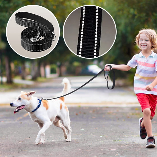 Longe chien TwistFree durable