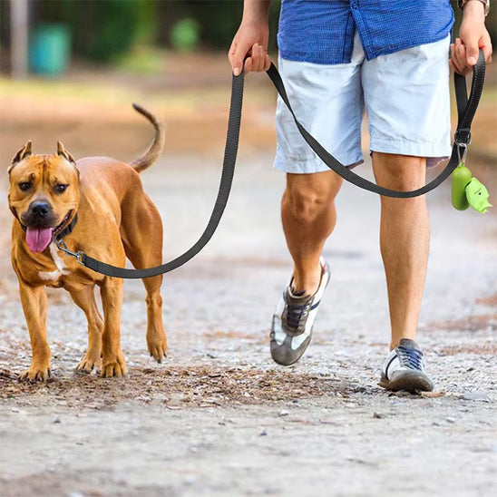 Longe chien TwistFree ideale