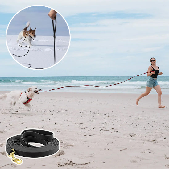 Longe chiens - BrightGrip