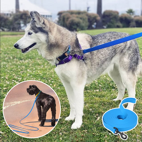 Longe chiens HydroWalk polyvalente