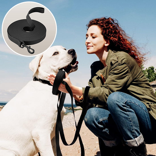 Longe chiens HydroWalk robuste