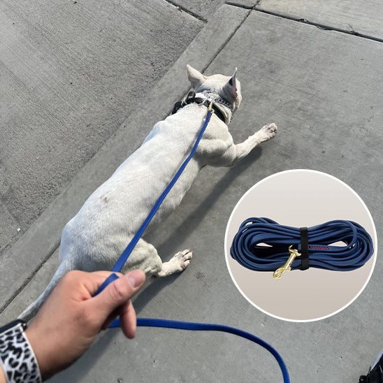 Longe pour chien AquaSteel resistante