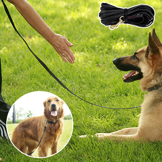 Longe pour chien AquaSteel souple