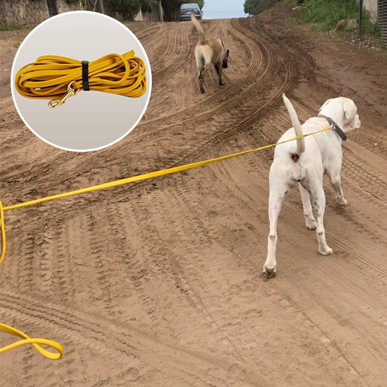 Longe pour chien AquaSteel waterproof