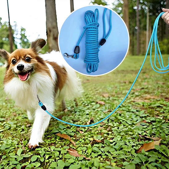 Longe pour chien ForgeLead sans emmelements