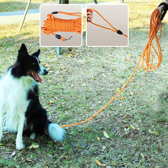 Longe pour chien ForgeLead solide