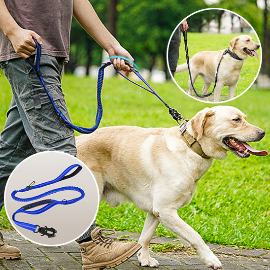 Longe pour chien TactikGrip pratique