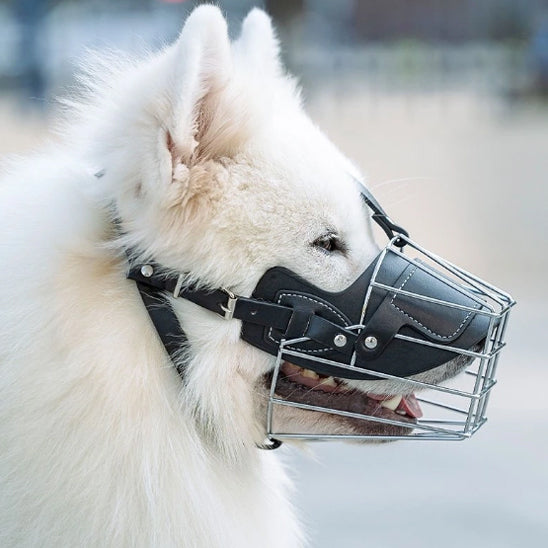 Museliere EliteMuzzle solide