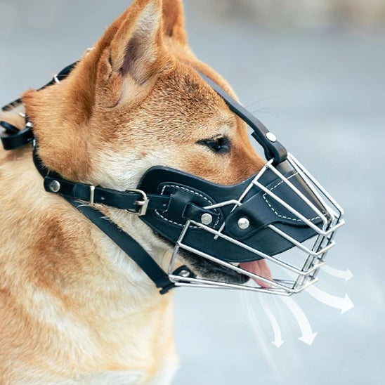Museliere EliteMuzzle souple