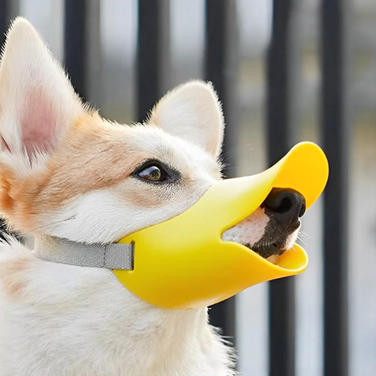 Museliere chien Duckie confortable