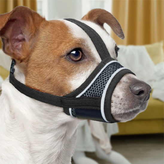 Museliere chien MusiZen legere