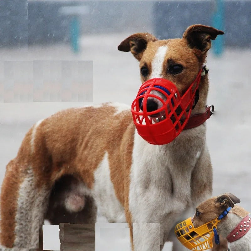 Museliere pour chien SecureBask robuste