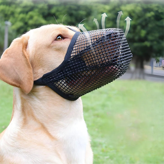 Museliere pour chien VentiMuzzle ajustement parfait