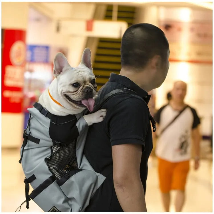 Sac a dos chien DryComfort polyvalent