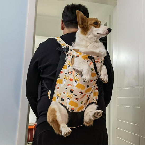 Sac a dos chien WagWay respirant