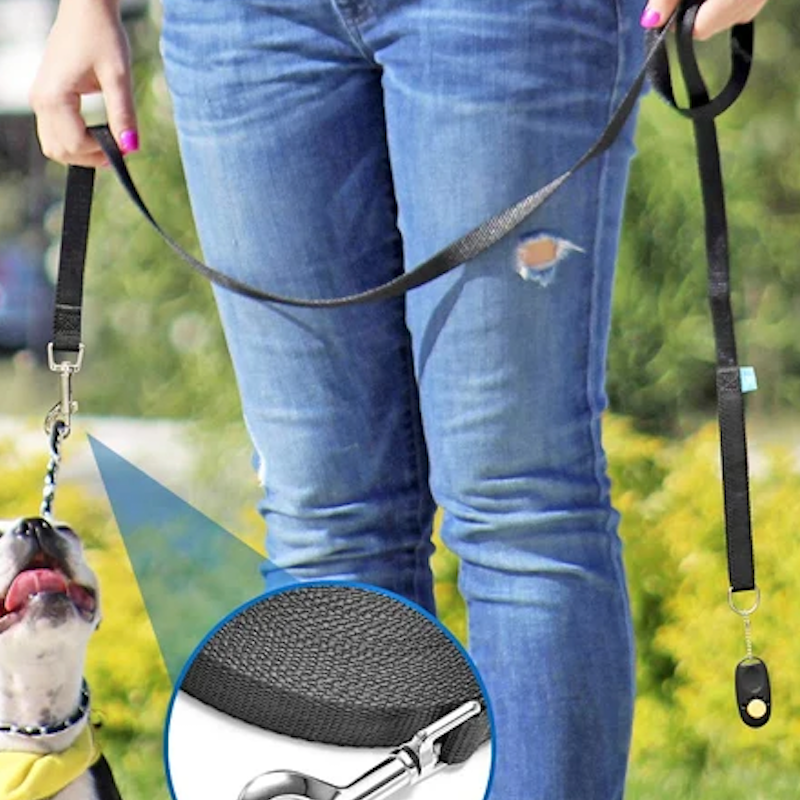 Une laisse de chien FreedomLeash fixaction rapide