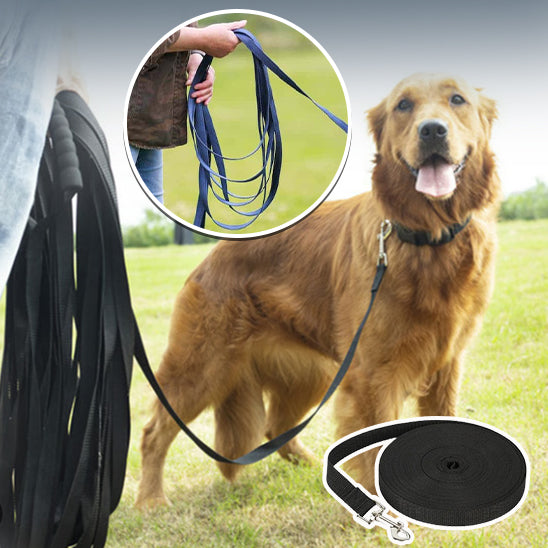 Une laisse de chien FreedomLeash solide