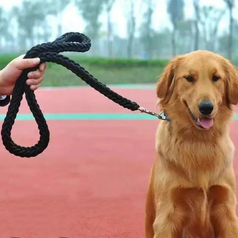 Une laisse pour chien BraidLeash durable