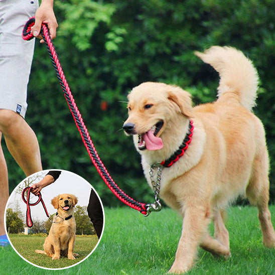 Une laisse pour chien BraidLeash entretien facile