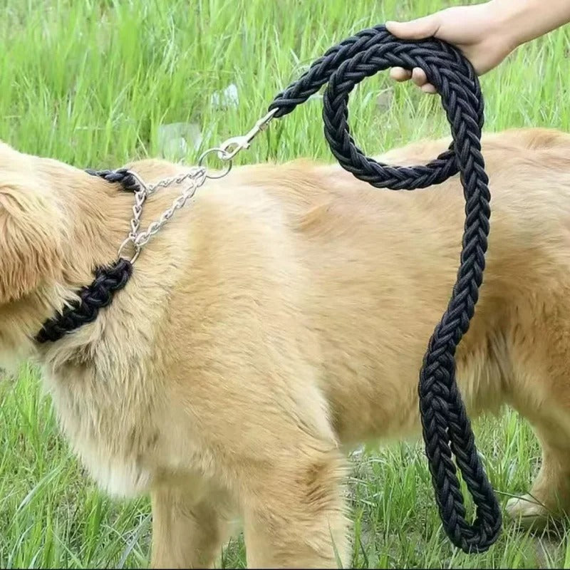 Une laisse pour chien BraidLeash innovante