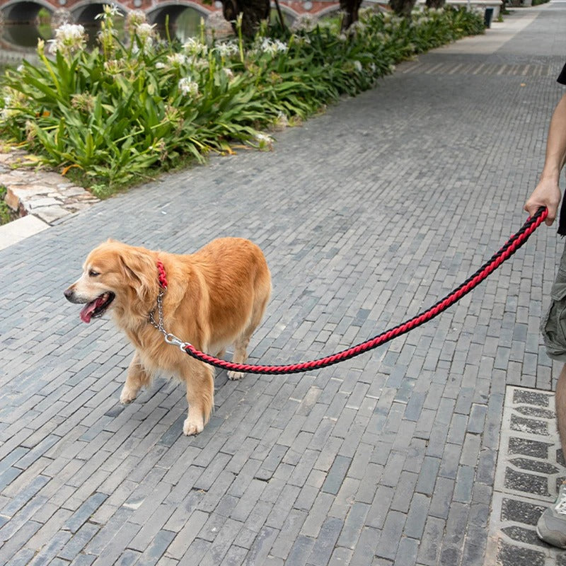 Une laisse pour chien BraidLeash reflechissante