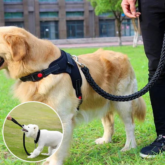 Une laisse pour chien BraidLeash resistante