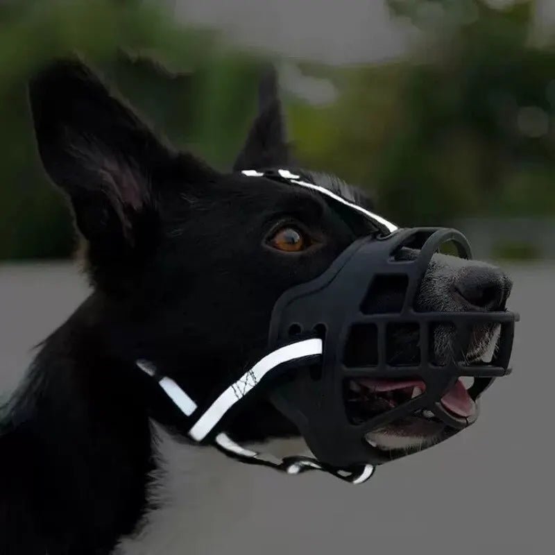 Anti - BarkDog™ - Auracanine
