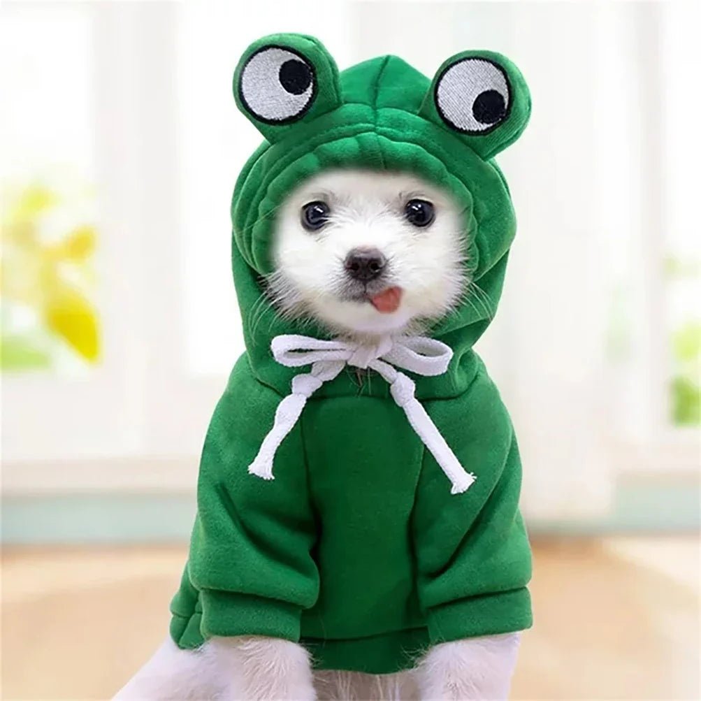 HoodieGrenouilleMignonPourChiens™ - Auracanine