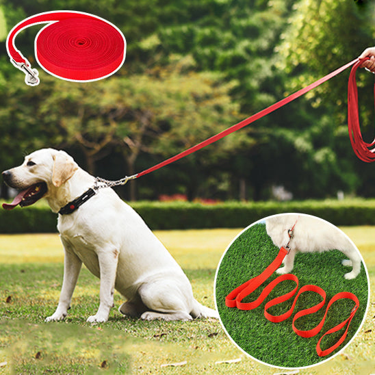 laisse chien FreedomLeash pratique