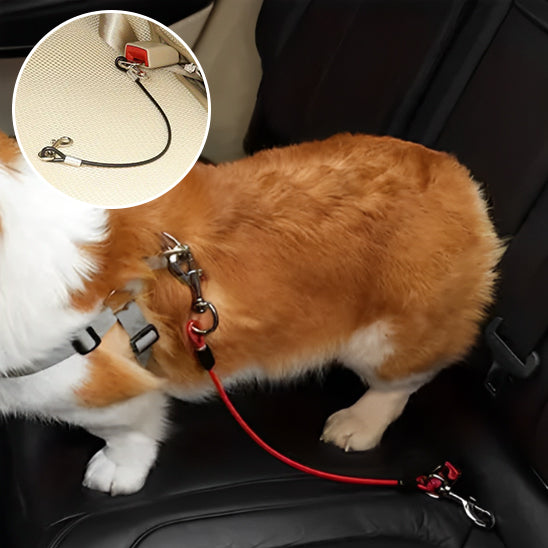 laisse chien SafeRide resistante