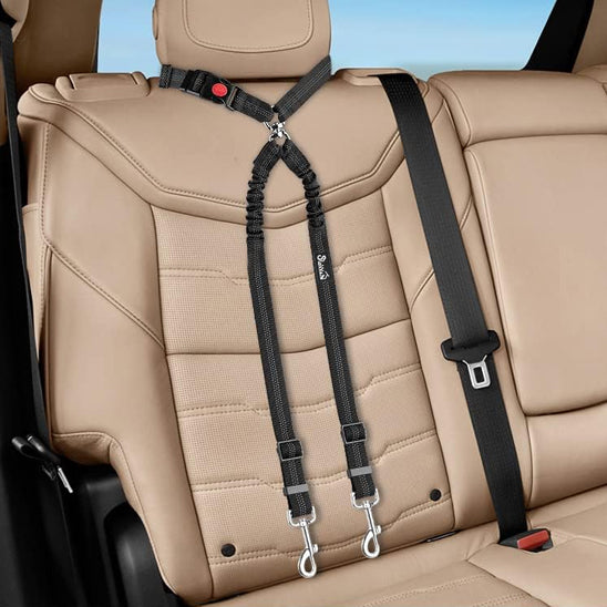 laisse double pour chien EasyTrip solide