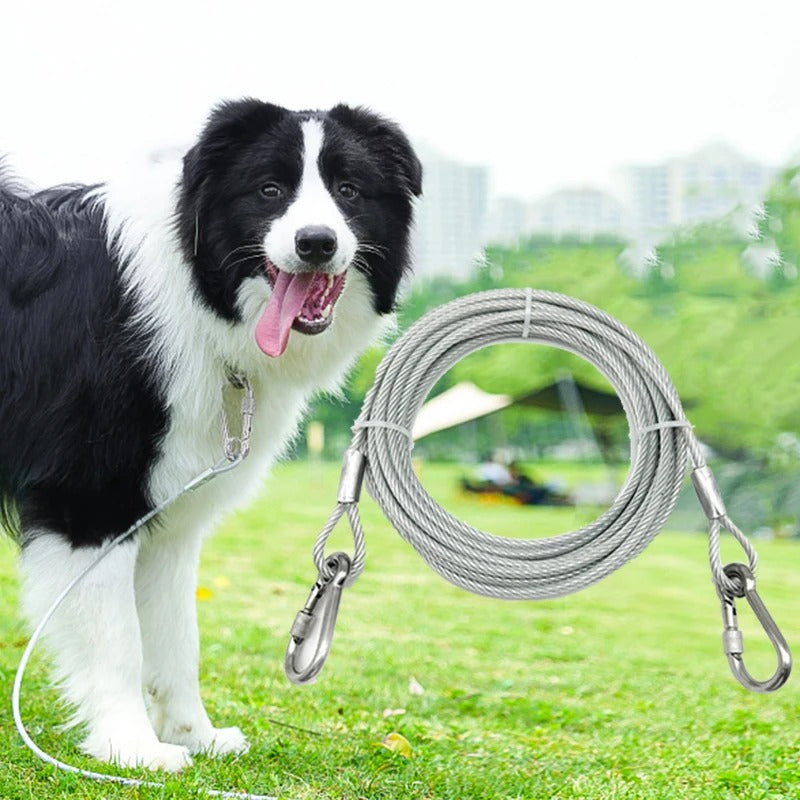 laisse pour chien AnchorDog visible