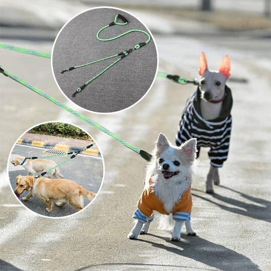 laisse pour chien PawCarSecure durable