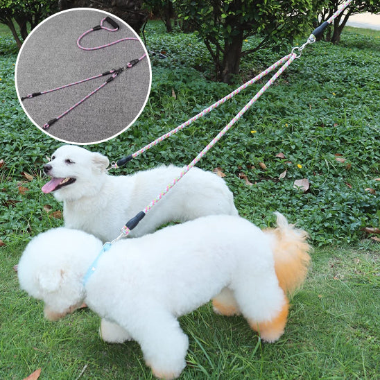 laisse pour chien PawCarSecure
polyvalente