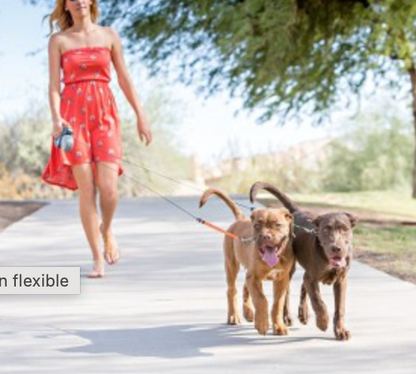 Laisse double pour chien - TwinLeash™