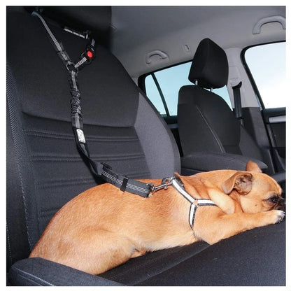 Laisse pour chien - PawCarSecure