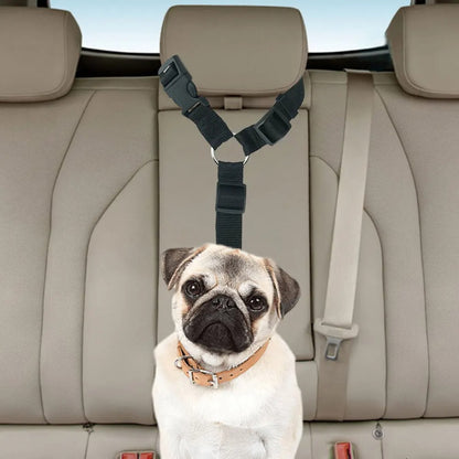 Laisse pour chien - PawCarSecure