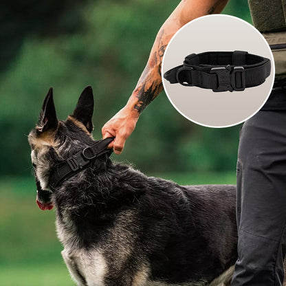Collier chien - AlphaTrack