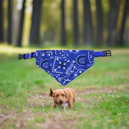 Collier chien BandanaColl leger