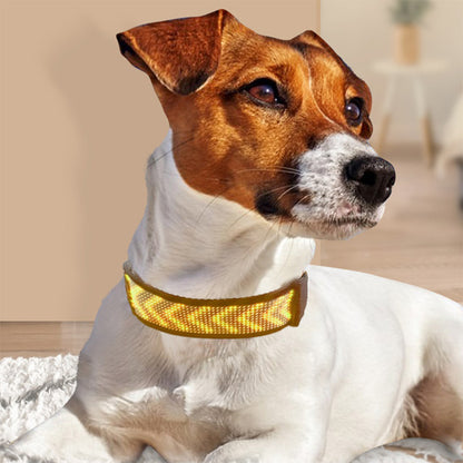 Collier lumineux chien - LEDyDog