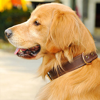 Collier chien CuirForce doux