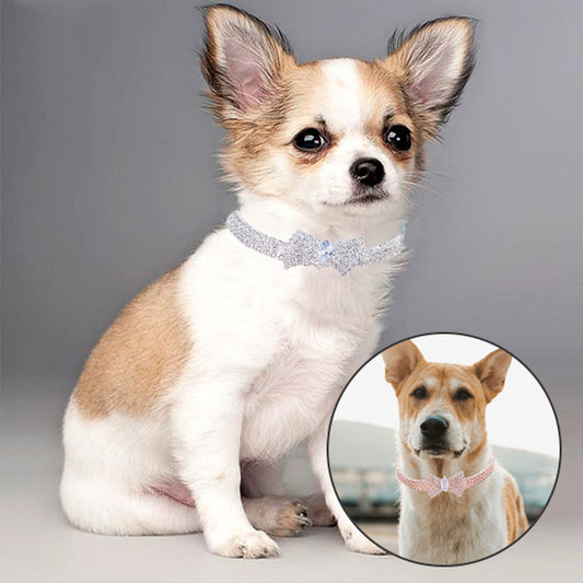 Collier chien LuxeLoulou finition soigne