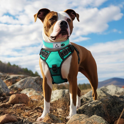 Collier chien - NeoGuard™