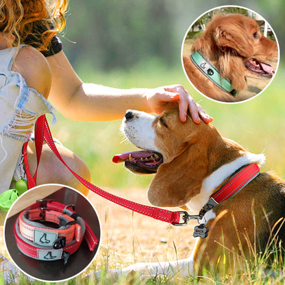 Collier chien - NeoGuard™