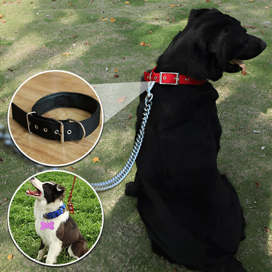 Collier chien ZenCollar robuste