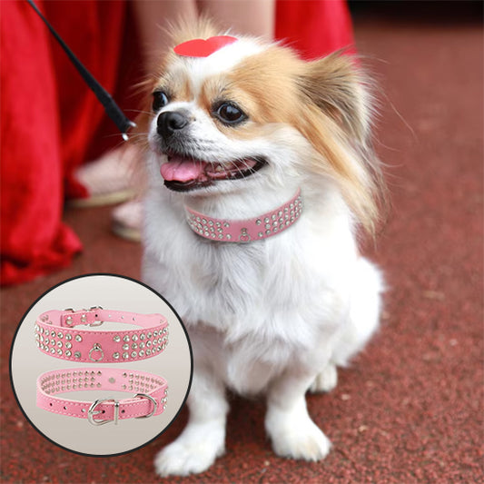 Collier chien cuir - CuirÉvo