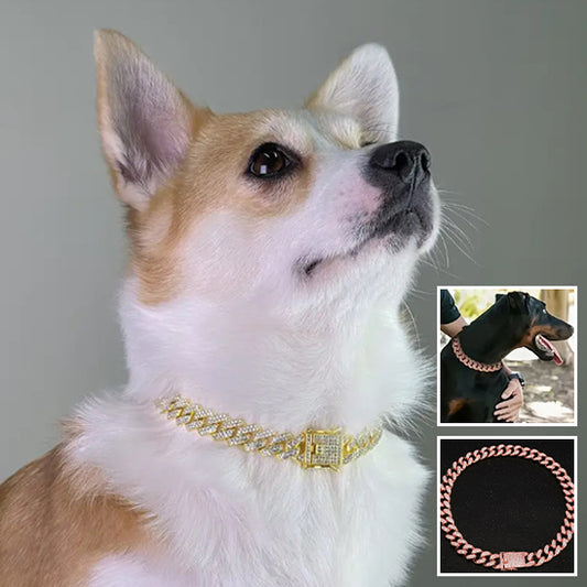 Collier pour chien - BijouFlex