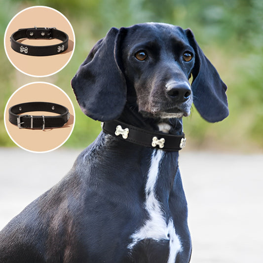 Collier chien cuir - OsChic