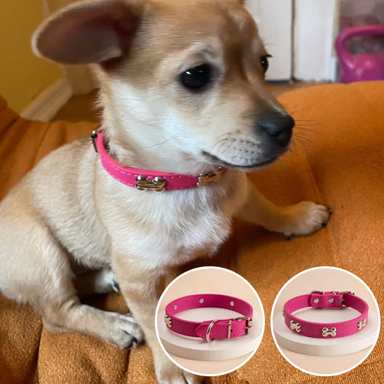 Collier chien cuir - OsChic