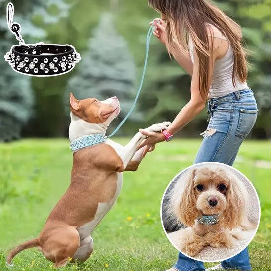 Collier pour chien - SparkleBow